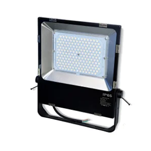 High-intensity Light Lens type Hot Sell Flood IP65 LED Light LED Lamp Waterproof