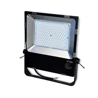 Lens type Hot Sell IP65 LED Flood Light 10W  20W 30W 50W 80W 100W 150W 200W 500W LED Lamp Waterproof