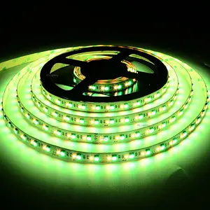 RGBW 5050+2216 LED Strip Lights