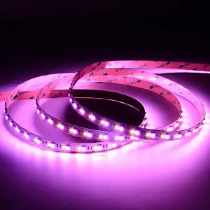 RGBW 5050+2216 LED Strip Lights