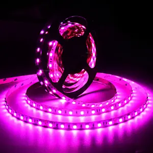 60LEDs 5050 24V 12V RGB LED Strip
