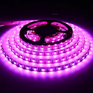 60LEDs 5050 24V 12V RGB LED Strip