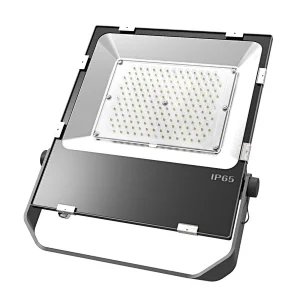 High-intensity Light Lens type Hot Sell Flood IP65 LED Light LED Lamp Waterproof