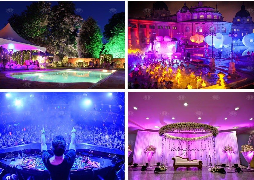 DMX LED Stage Lighting & Multi Colored Flood Lights Application 2