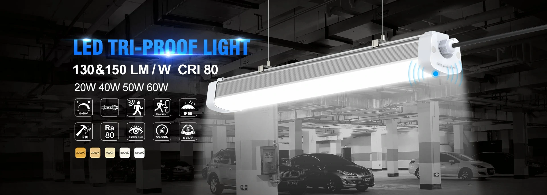 IP65 LED Tri-Proof Light