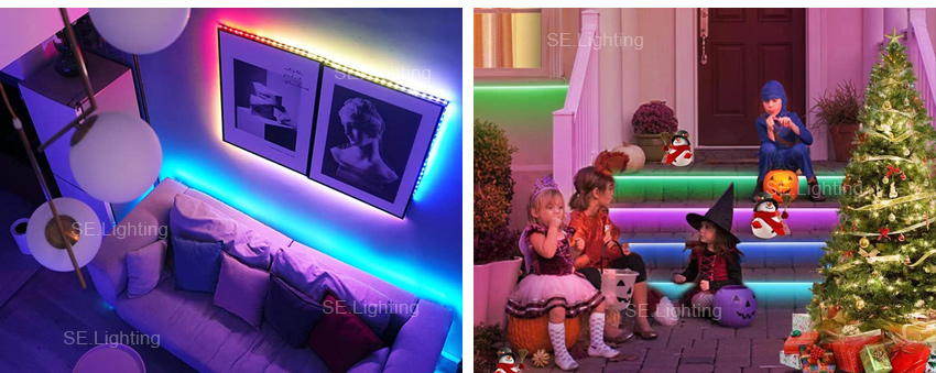 5050 RGB LED Strip Lights 60LEDs 24V 12V Supplier