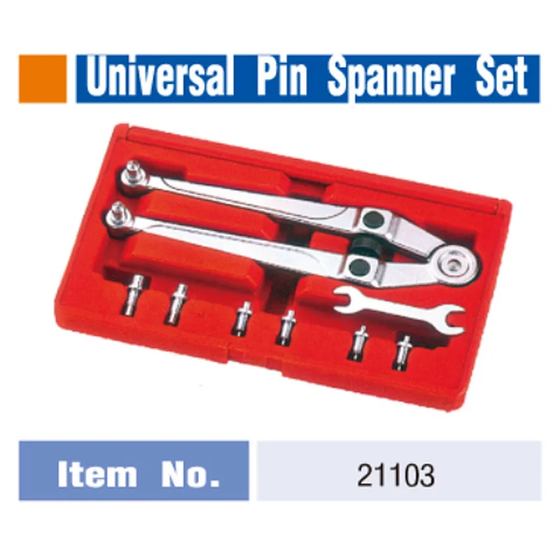 Universal pin spanner set