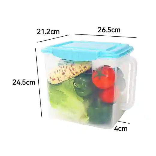 Haixin 4.5/9L Plastic Food Storage Container With Handle And Lid For ...