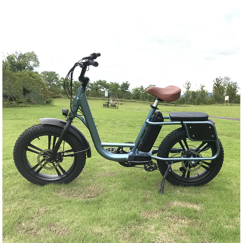 Fat Tire Cargo City Electric Bike Bicycle