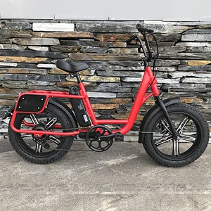 Fat Tire Cargo City Electric Bike Bicycle
