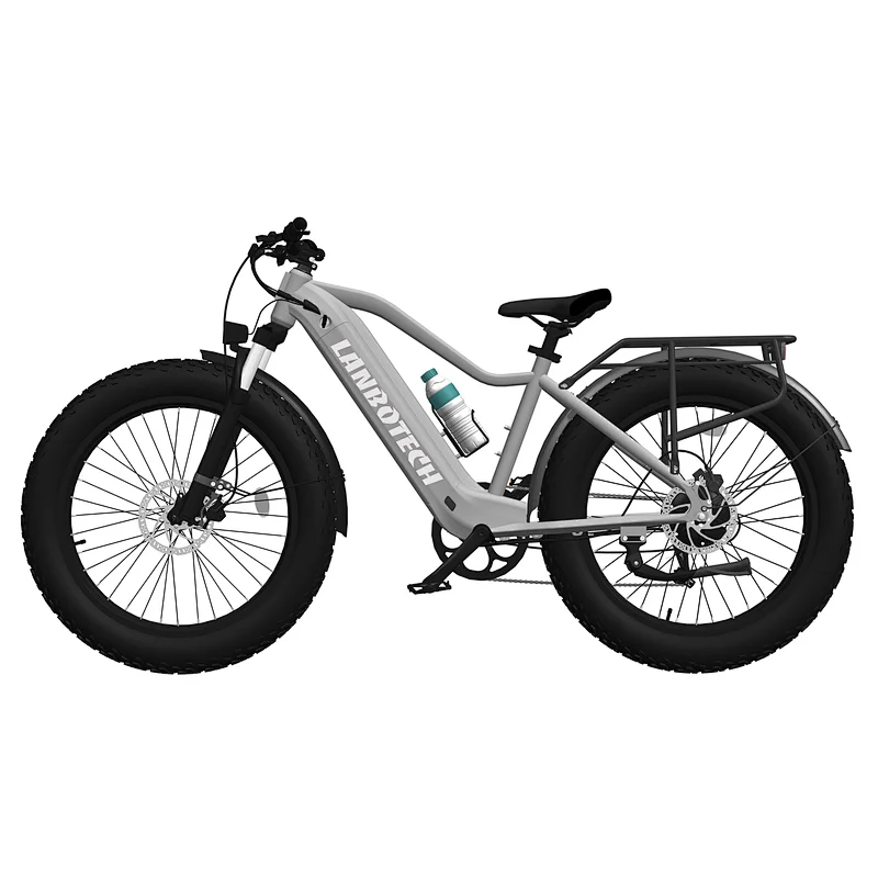 Electric Motor High Power 750w city bike Electric road Bicycle EBIKE Urban Commuting Electric Bikes for A