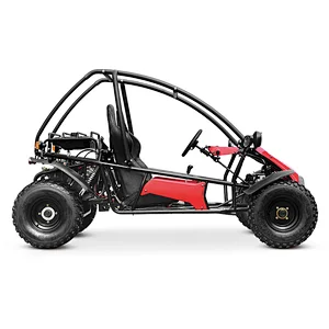 200CC sand buggy | off road Adult go kart 150cc