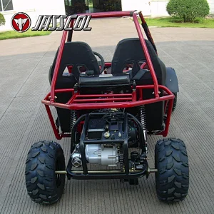 Hot selling customized centrifugal sandbeach go kart adult 200cc