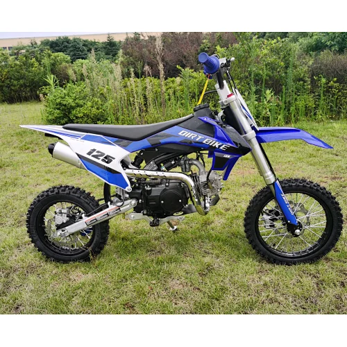 Dirt bike 125cc motorcycle motocross DG02