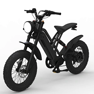 Electric Motor High Power 48V 1000W Bike  city bike urban bicycle road EBIKE  lithium battery  rear hub motor