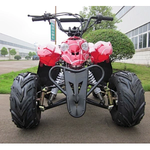 Petrol Powerful Kids ATV 125CC Mini Motor Quad Bike with CE