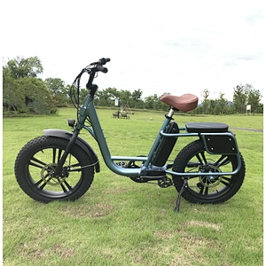 Electric bicycle 750W/500W Utility  Pedal with 20inch tire