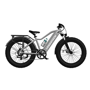 Electric Motor High Power 750w city bike Electric road Bicycle EBIKE Urban Commuting Electric Bikes for A