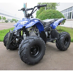 110CC Baby Horse cheap ATV for sale Quad