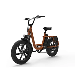 Electric Motor 750W brushless rear hub motor utility  bike High Power Wholesale