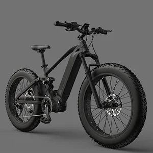 Electric bike /bicycle 750W/1000W