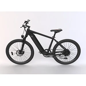 Battery 52V17ah MID Drive Electric Bicycle LB12AMD