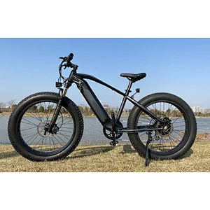 Electric bike /bicycle 750W/1000W