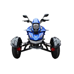 200cc adult gas sport tricycle motorcycle 3 wheel ATV