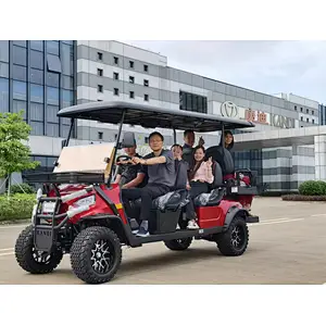 5KW  120AH battery powered golf cart buggy electric