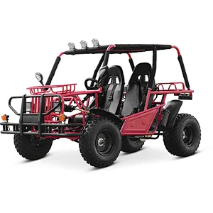 200CC GO KART two seat adults sand buggy off-road use