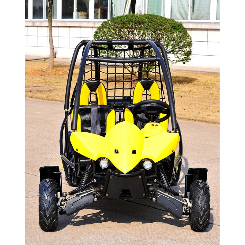 110CC GO KART DUNE BUGGY 125CC
