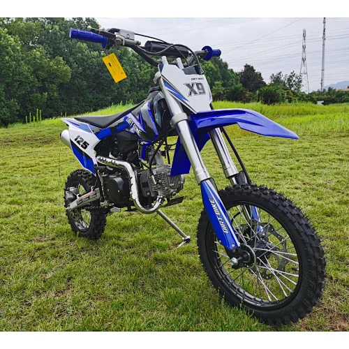 Dirt bike racing motorcycle 125cc CE Approval DG02
