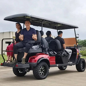 6 seater/4seater  electric golf carts/ 5KW  golf carts electric