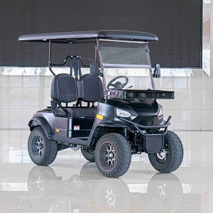 EEC ROAD LEGAL CARTS ELECTRIC LITHIUM BATTERY GOLF CARTS with 2 seat