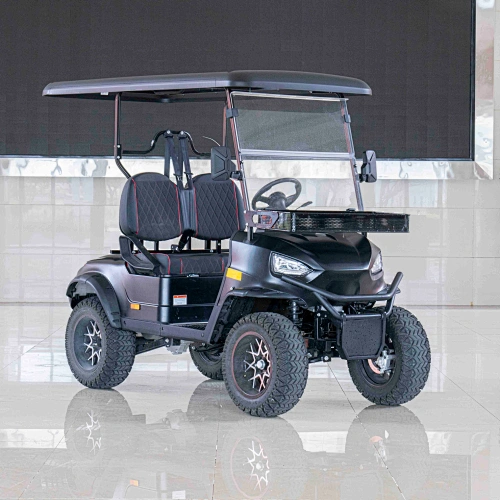 EEC ROAD LEGAL CARTS ELECTRIC LITHIUM BATTERY GOLF CARTS with 2 seat