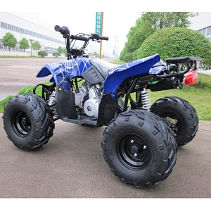 New 125cc cheap kids ATV 4 wheel quad bike sale with CE