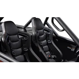 ELECTRIC BUGGY OFF ROAD 2 SEAT GO KART FOR ADULT