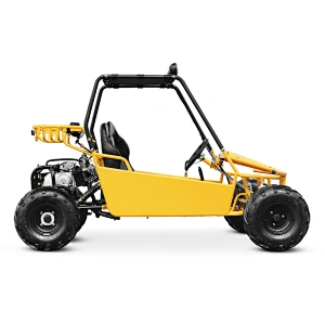 110cc go kart two seat sand buggy for kids children dune buggy teenager go kart