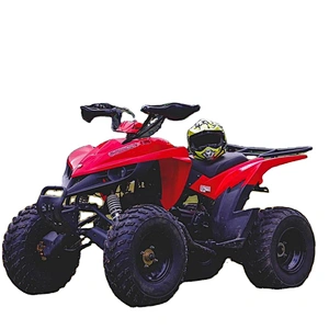 ATV 200CC QUAD BIKE 150 for adult
