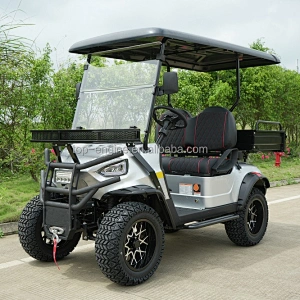 5000W high power motor hunt car Convertible sightseeing golf cart 2 seat