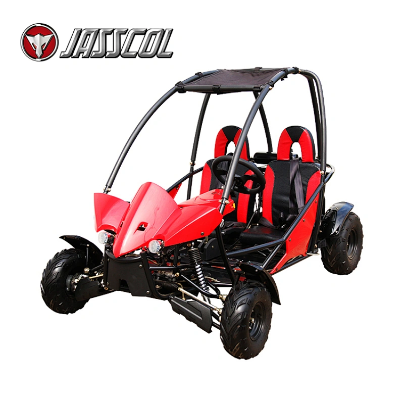 New generation automatic 110cc gas safety 2 seat 125cc racing petrol go karts for sale