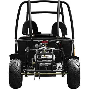 Hot sale cheap mini go kart 110CC dune buggy 2 seat go kart for kids