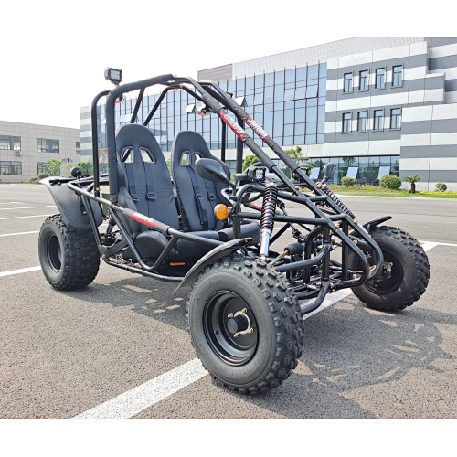 3KW Electric Dune Buggy and Go Kart 4 Wheel Electric power with Lithium Battery
