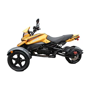 200CC cross pocket trike motorcycle (JL 175ZK)