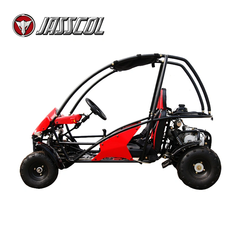 New generation automatic 110cc gas safety 2 seat 125cc racing petrol go karts for sale