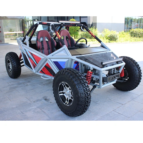Big Power electric buggy and electric go kart