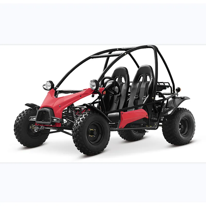 200CC sand buggy off road go kart adult off road dune buggy two seat chain drive