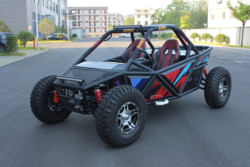 Adult off road store buggy