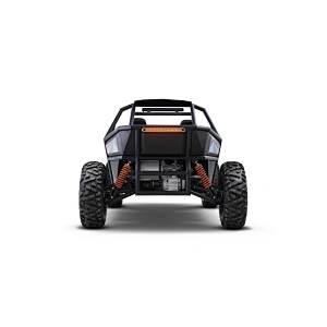 ELECTRIC BUGGY OFF ROAD 2 SEAT GO KART FOR ADULT
