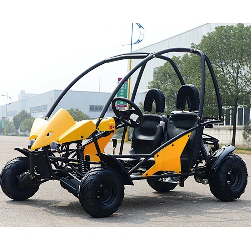 125CC 110CC Duggy  GO KART